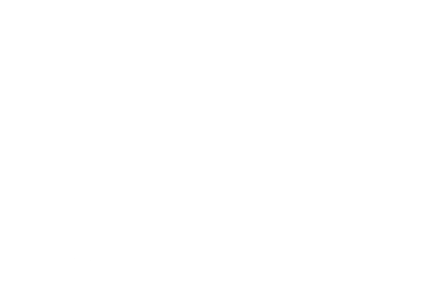 OFFICIAL SELECTION - Berlin Indie Spotlight Film Festival - BEST ORIGINAL SCREENPLAY 2025